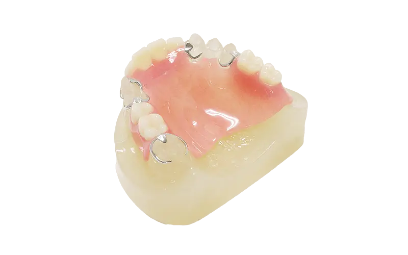 レジン床義歯