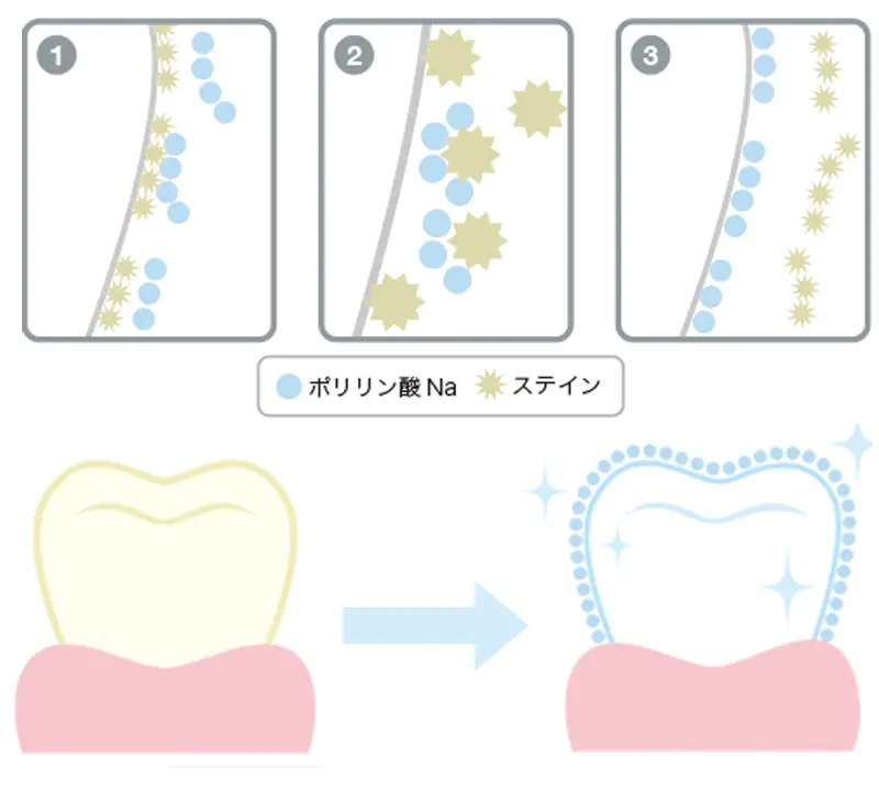 分割ポリリン酸